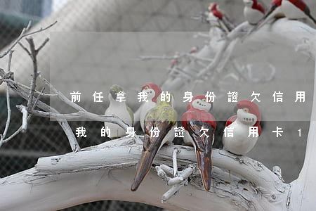 前任拿我的身份證欠信用卡10萬-前任拿我的身份證欠信用卡10萬怎么辦