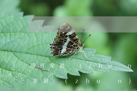 前任拿著轉(zhuǎn)賬記錄起訴(前任拿著轉(zhuǎn)賬記錄起訴但不想歸還)