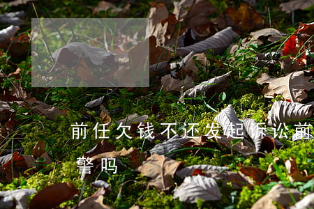 前任欠钱不还发起诉讼(前任欠钱不还可以报警吗)
