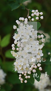 前儿媳出轨离婚抚养费(妻子婚内出轨孩子的抚养权可以要回来吗)