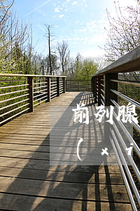 前列腺炎想和媳婦兒離婚(婚后發(fā)現(xiàn)老公有嚴(yán)重前列腺炎)
