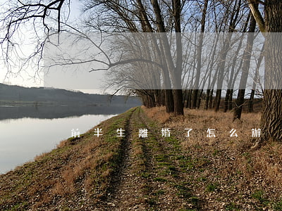 前半生離婚了怎么辦