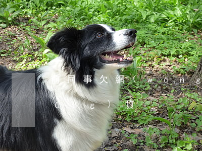 前同事欠網(wǎng)貸(前同事欠網(wǎng)貸)