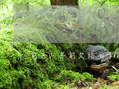前夫7年前欠信用卡(前夫欠信用卡不還)