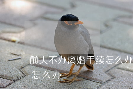 前夫不办离婚手续怎么办(离婚后前夫不离家怎么办?)