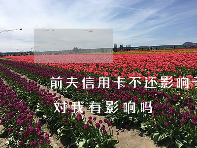 前夫信用卡不还影响子女吗(前夫欠信用卡钱对我有影响吗?)