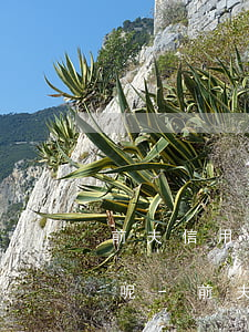 前夫信用卡沒(méi)還起訴我了怎么辦呢-前夫信用卡沒(méi)還起訴我了怎么辦呢怎么處理