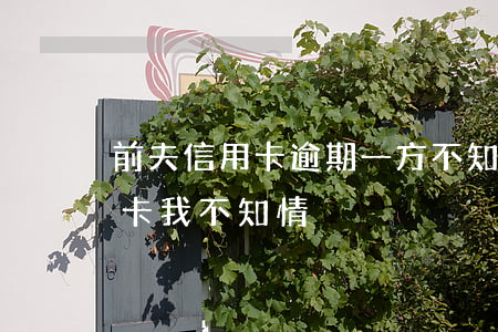 前夫信用卡逾期一方不知情(前夫婚内欠信用卡,我不知情)