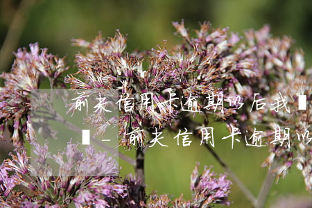 前夫信用卡逾期以后我會(huì)被起訴嗎-前夫信用卡逾期以后我會(huì)被起訴嗎怎么辦