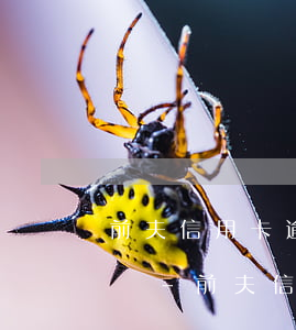 前夫信用卡逾期前妻賬戶要凍結(jié)嗎-前夫信用卡逾期前妻賬戶要凍結(jié)嗎怎么辦