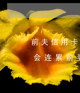 前夫信用卡逾期后果(离婚后前夫信用卡逾期会连累前妻吗)