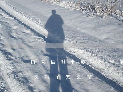前夫信用卡逾期坐牢(前夫用我的信用卡不還逾期了怎么辦)