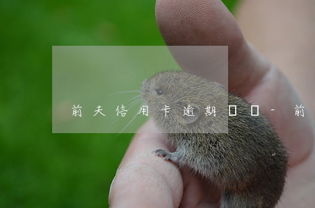 前夫信用卡逾期沒還-前夫欠信用卡