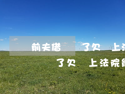 前夫借錢寫了欠條上法院能要回嗎-前夫借錢寫了欠條上法院能要回嗎怎么辦