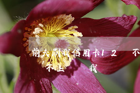 前夫刷我信用卡12萬不還(前夫欠的信用卡,還不上,會讓我還嗎)