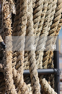 前夫刷我信用卡不還失蹤了(前夫欠信用卡)
