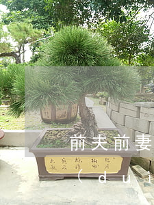 前夫前妻該不該離婚(離婚了為什么前夫還對(duì)前妻好)