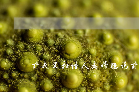 前夫又和情人离婚(听说前夫又要离婚了)