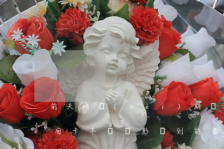 前夫婚內(nèi)期間欠信用卡(前夫欠信用卡不還會影響到前妻嗎)