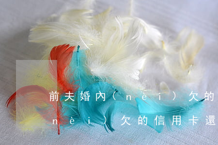 前夫婚內(nèi)欠的信用卡(前夫婚內(nèi)欠的信用卡還能用嗎)