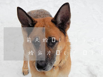 前夫婚內(nèi)欠網(wǎng)貸(離婚后才發(fā)現(xiàn)前夫欠網(wǎng)貸)