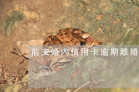 前夫婚內信用卡逾期(離婚后前夫信用卡逾期)