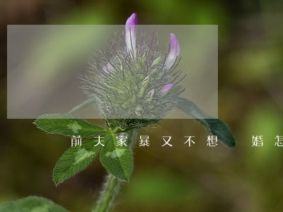 前夫家暴又不想離婚怎么辦