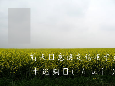 前夫惡意透支信用卡后續(xù)(前妻信用卡逾期會(huì)找我嗎)