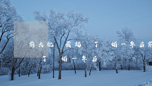 前夫把車藏起來了離婚一年后(前夫把車藏起來了離婚一年后)
