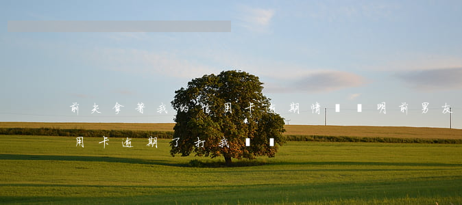 前夫拿著我的信用卡逾期情況說明(前男友信用卡逾期了打我電話)