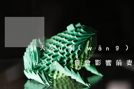 前夫欠了網(wǎng)貸(前夫欠了網(wǎng)貸會影響前妻的征信嗎?)
