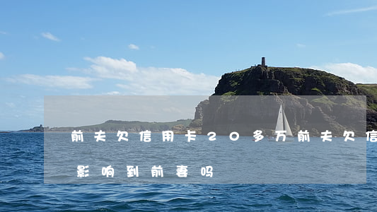 前夫欠信用卡20多万(前夫欠信用卡不还会影响到前妻吗)