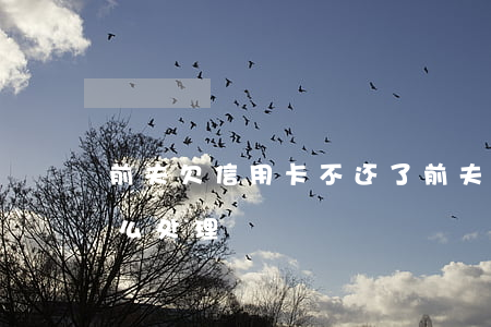 前夫欠信用卡不还了(前夫欠信用卡不还了怎么处理)