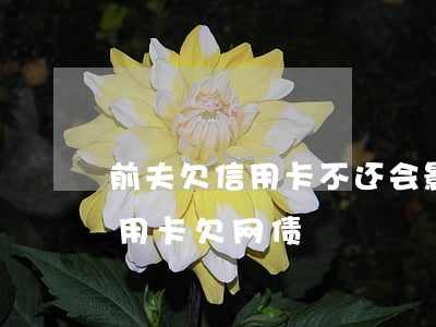 前夫欠信用卡不还会影响到前妻吗（前夫欠信用卡欠网债）
