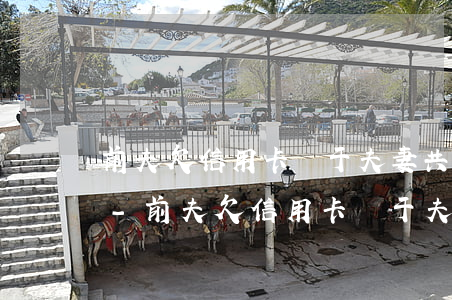 前夫欠信用卡屬于夫妻共同債務(wù)嗎-前夫欠信用卡屬于夫妻共同債務(wù)嗎怎么辦