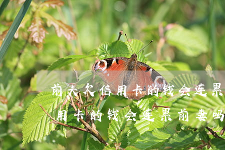前夫欠信用卡的钱会连累前妻吗-前夫欠信用卡的钱会连累前妻吗知乎