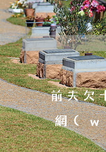 前夫欠十多個網(wǎng)貸不還(前妻欠網(wǎng)貸被起訴,前夫會怎樣)
