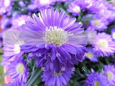 前夫欠的網(wǎng)貸會(huì)起訴我嗎(前妻欠網(wǎng)貸被起訴,前夫會(huì)怎樣)
