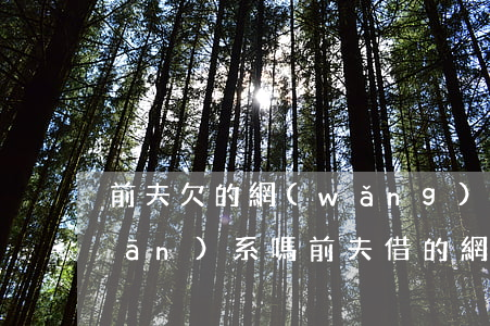 前夫欠的網(wǎng)貸跟我有關(guān)系嗎(前夫借的網(wǎng)貸,會(huì)不會(huì)找到前妻這里)
