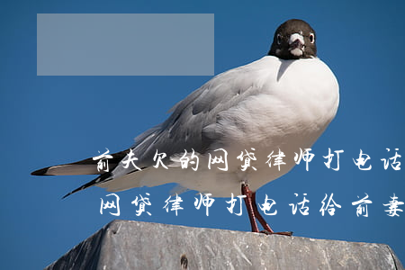 前夫欠的网贷律师打电话给前妻-前夫欠的网贷律师打电话给前妻怎么办