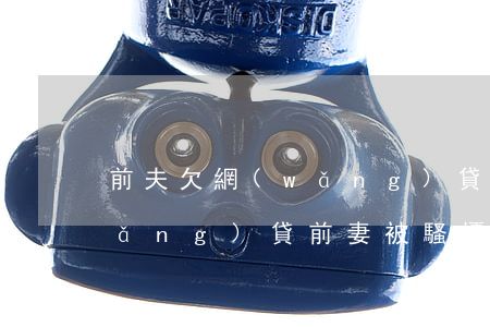 前夫欠網(wǎng)貸女兒(前夫欠網(wǎng)貸前妻被騷擾)