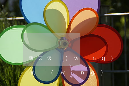 前夫欠網(wǎng)貸整天騷擾我(前夫欠的網(wǎng)貸電話老給我打怎么辦)
