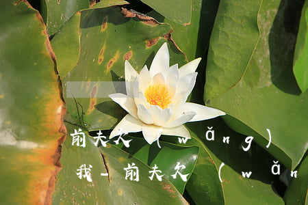 前夫欠網(wǎng)貸電話信息不斷騷擾我-前夫欠網(wǎng)貸電話信息不斷騷擾我怎么辦