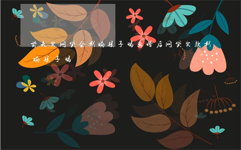 前夫欠网贷会影响孩子吗(离婚后网贷欠款影响孩子吗)