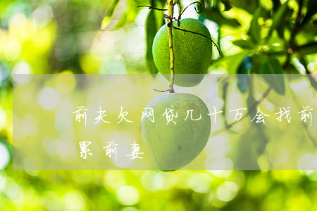 前夫欠网贷几十万会找前妻催收(前夫网贷连累前妻)