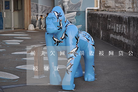 前夫欠网贷前妻被网贷公司骚扰(前妻网贷我被骚扰)