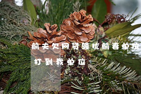 前夫欠网贷骚扰前妻单位(前夫网贷不还催债打到我单位)