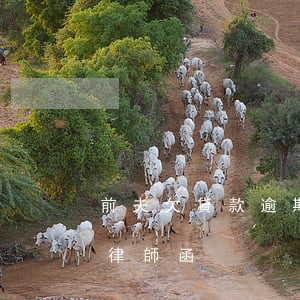 前夫欠貸款逾期收到律師函怎么辦(借款逾期律師函)