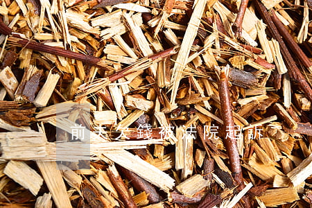 前夫欠錢被法院起訴