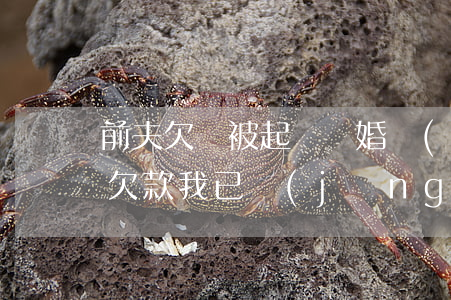 前夫欠錢被起訴離婚協(xié)議書(老公欠款我已經(jīng)離婚了法院起訴我們)